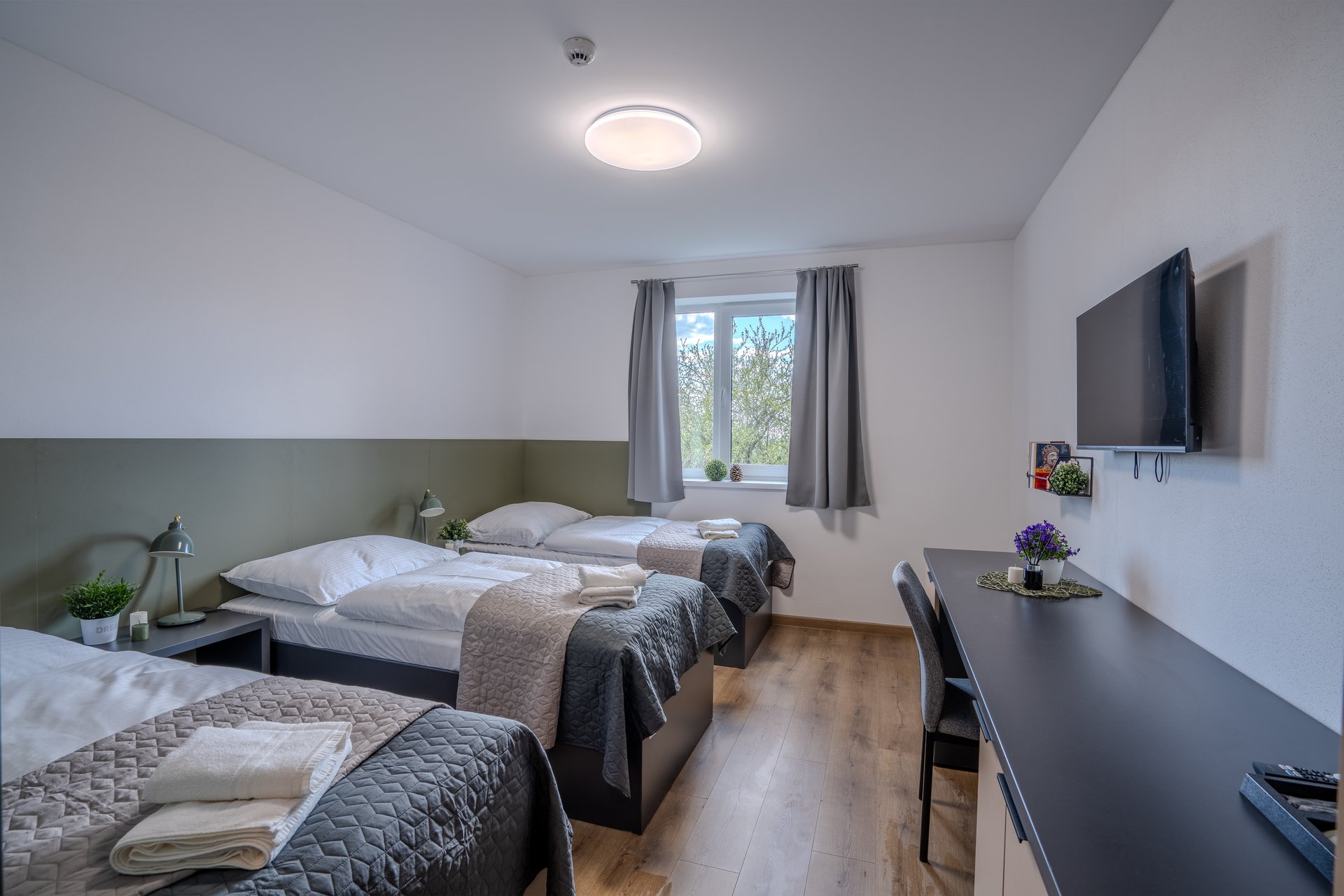 Triple room - postele a okno